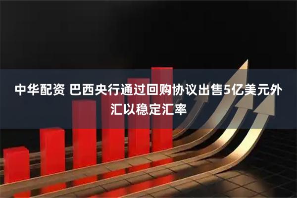 中华配资 巴西央行通过回购协议出售5亿美元外汇以稳定汇率